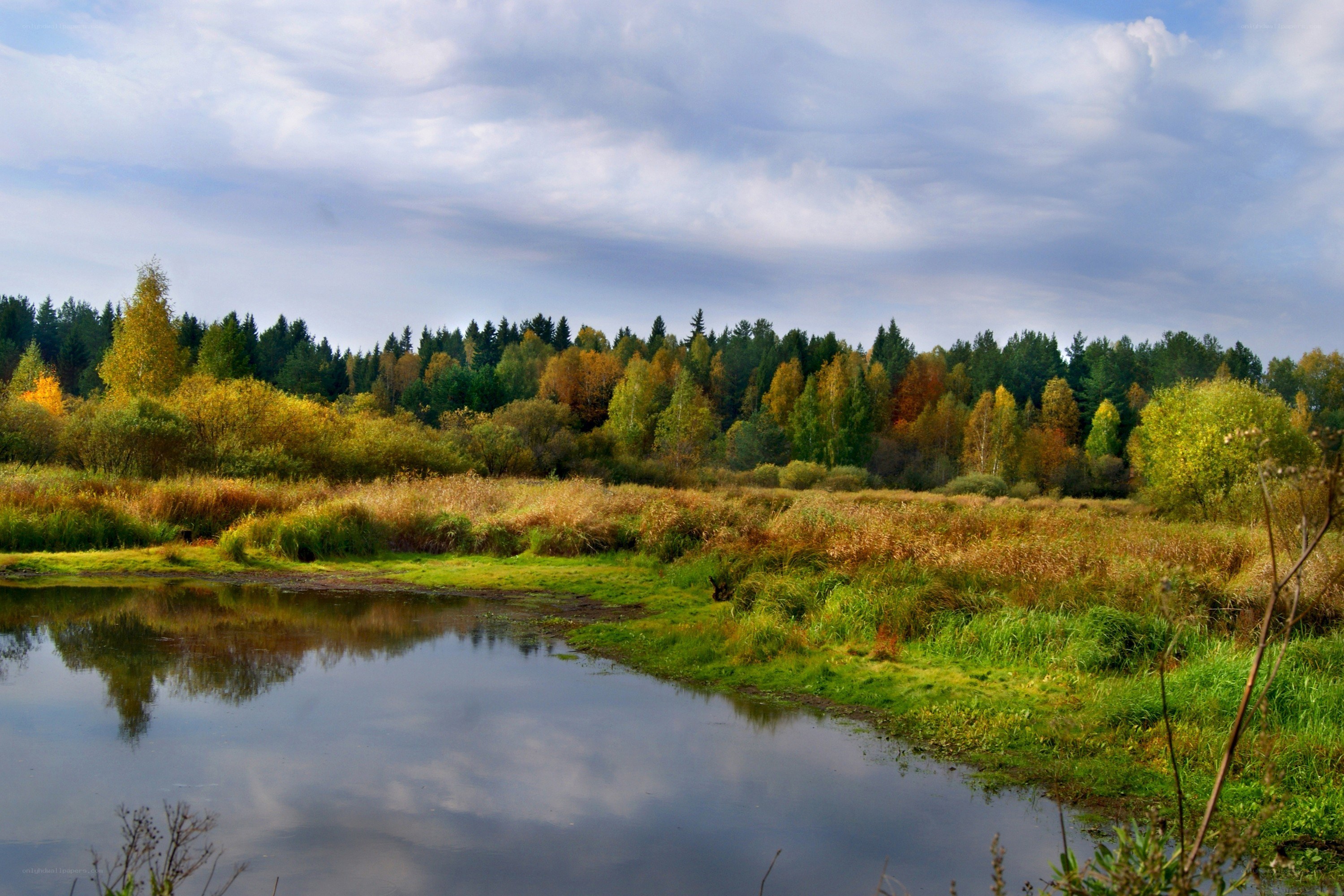 Autumn river landscape