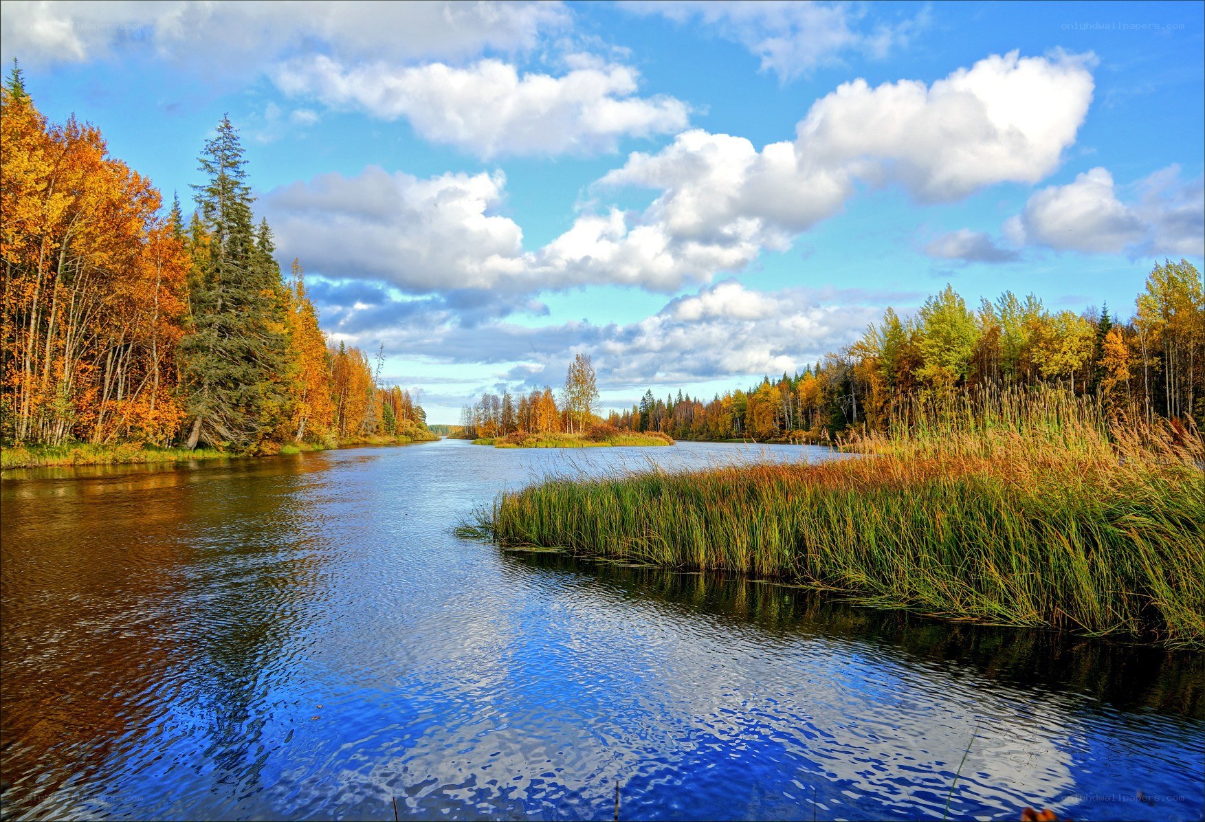 Autumn river landscape