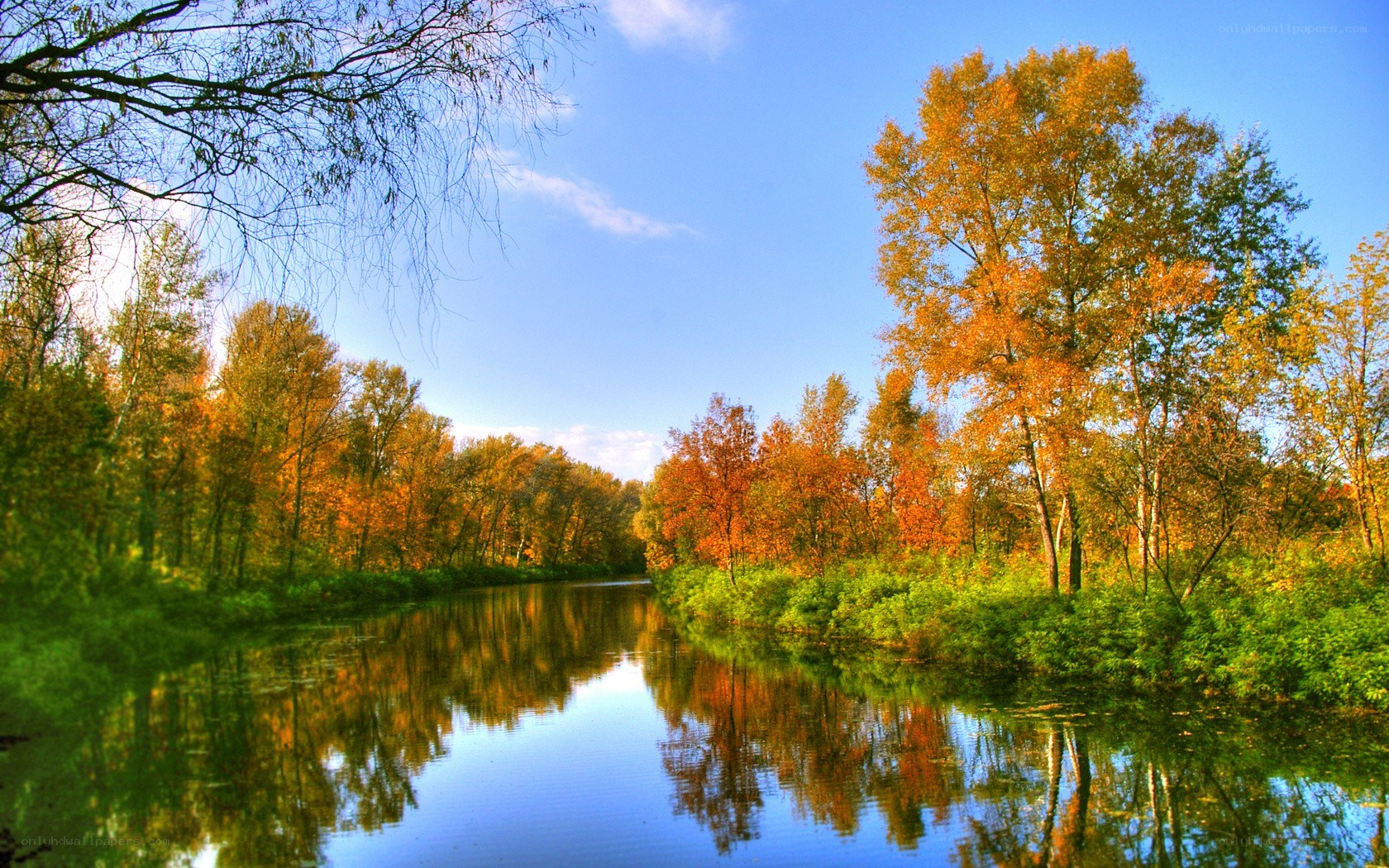 Autumn river landscape