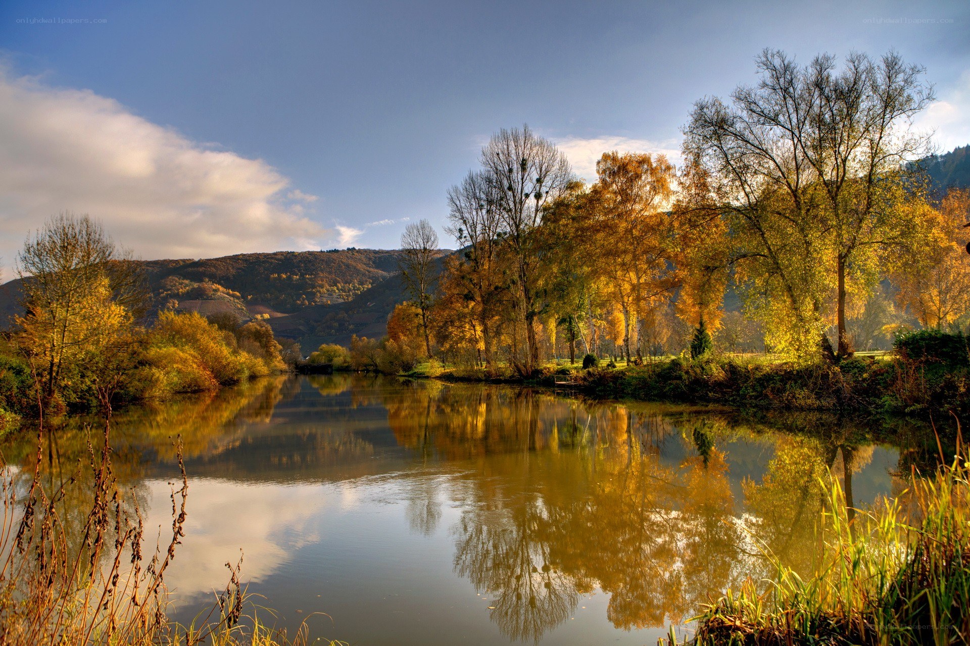 Autumn river landscape