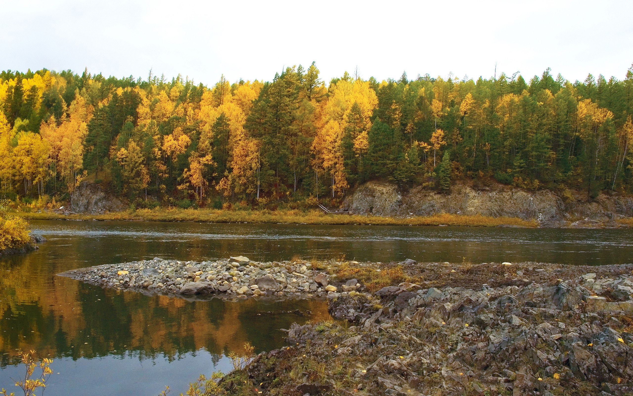 Autumn river landscape