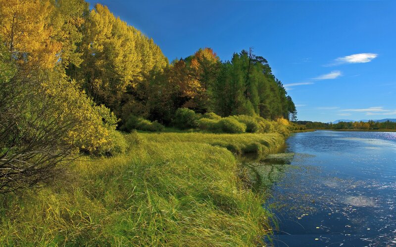 Autumn river landscape