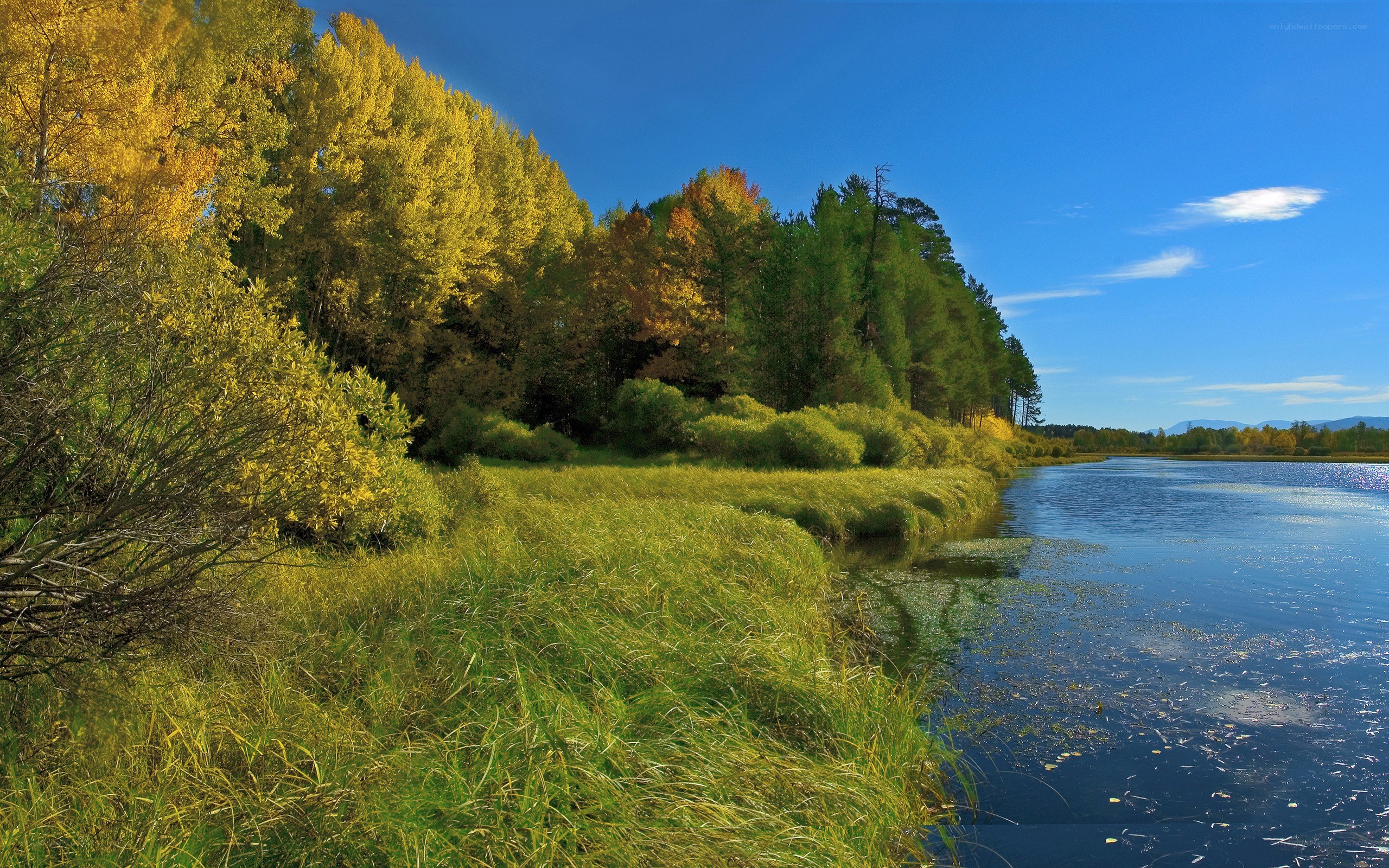 Autumn river landscape