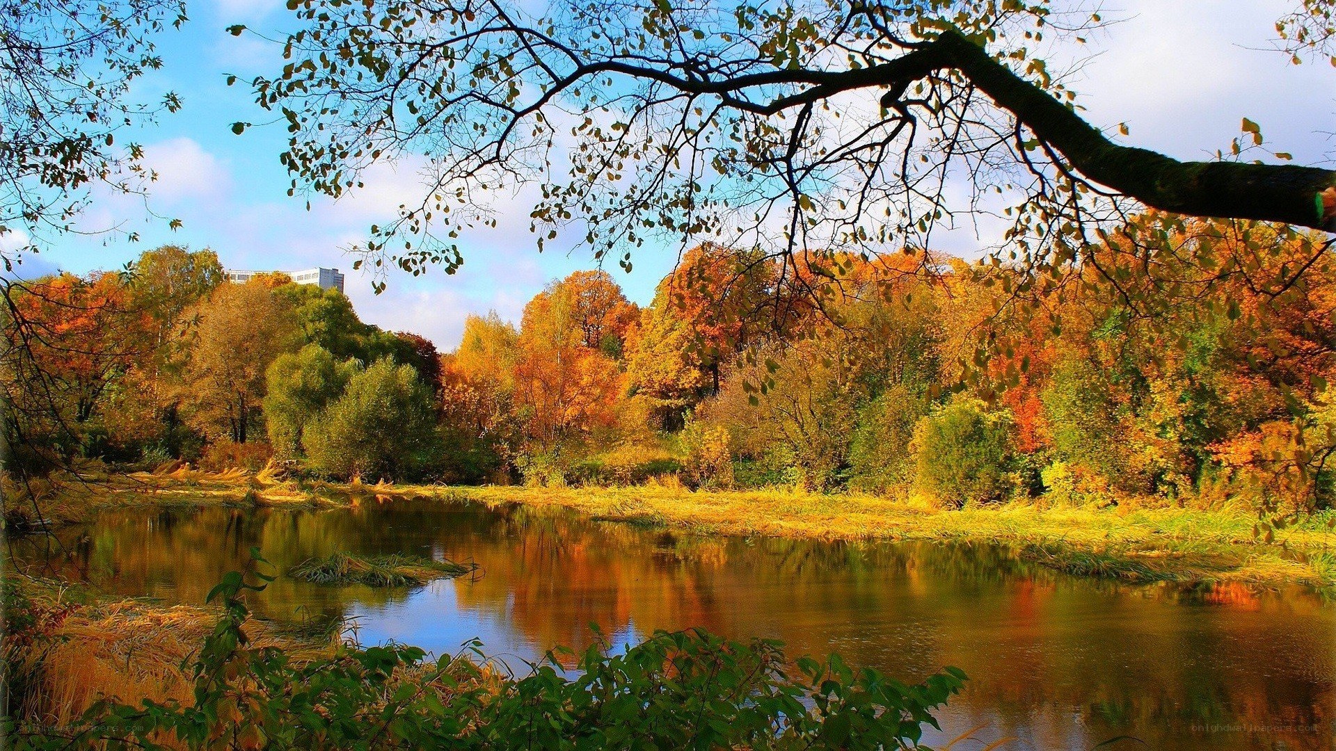 Autumn river landscape
