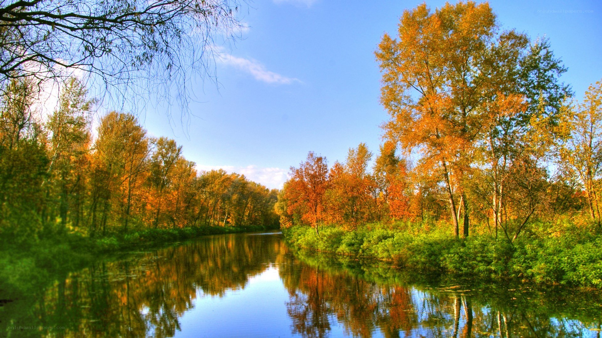Autumn river landscape