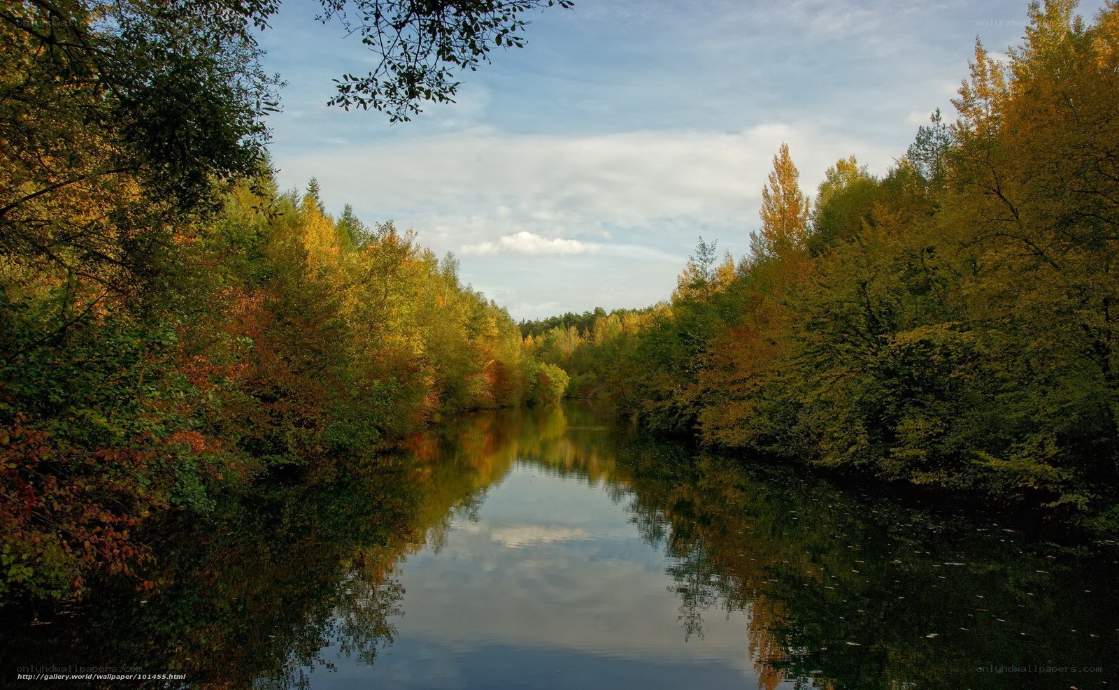 Autumn river landscape