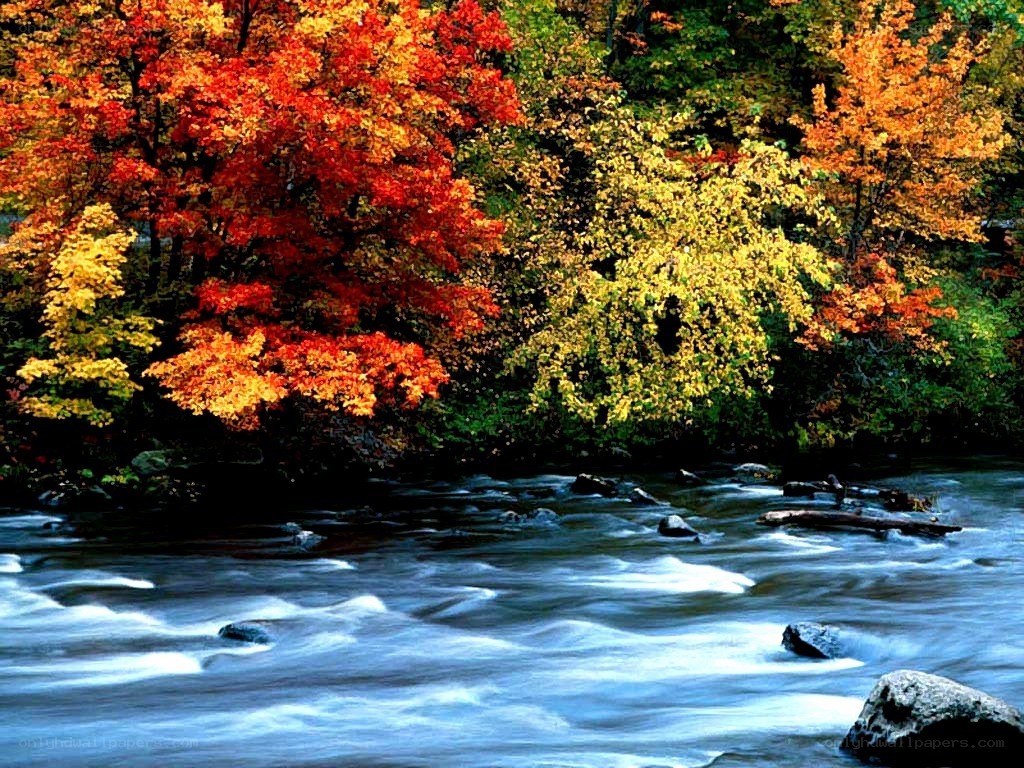 Autumn river landscape