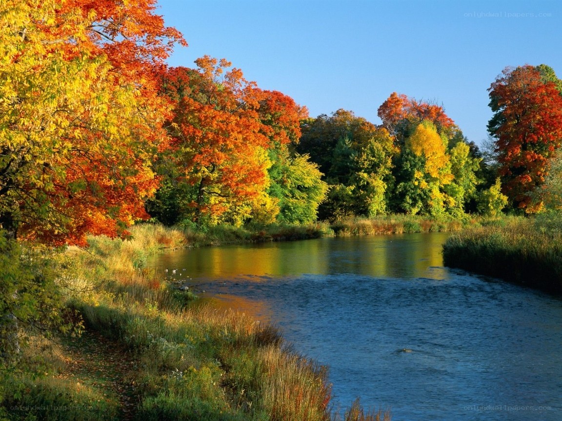 Autumn river landscape