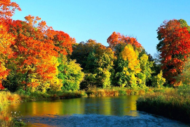 Autumn river landscape