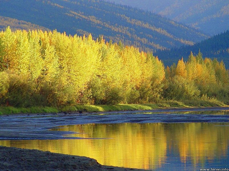 Autumn river landscape