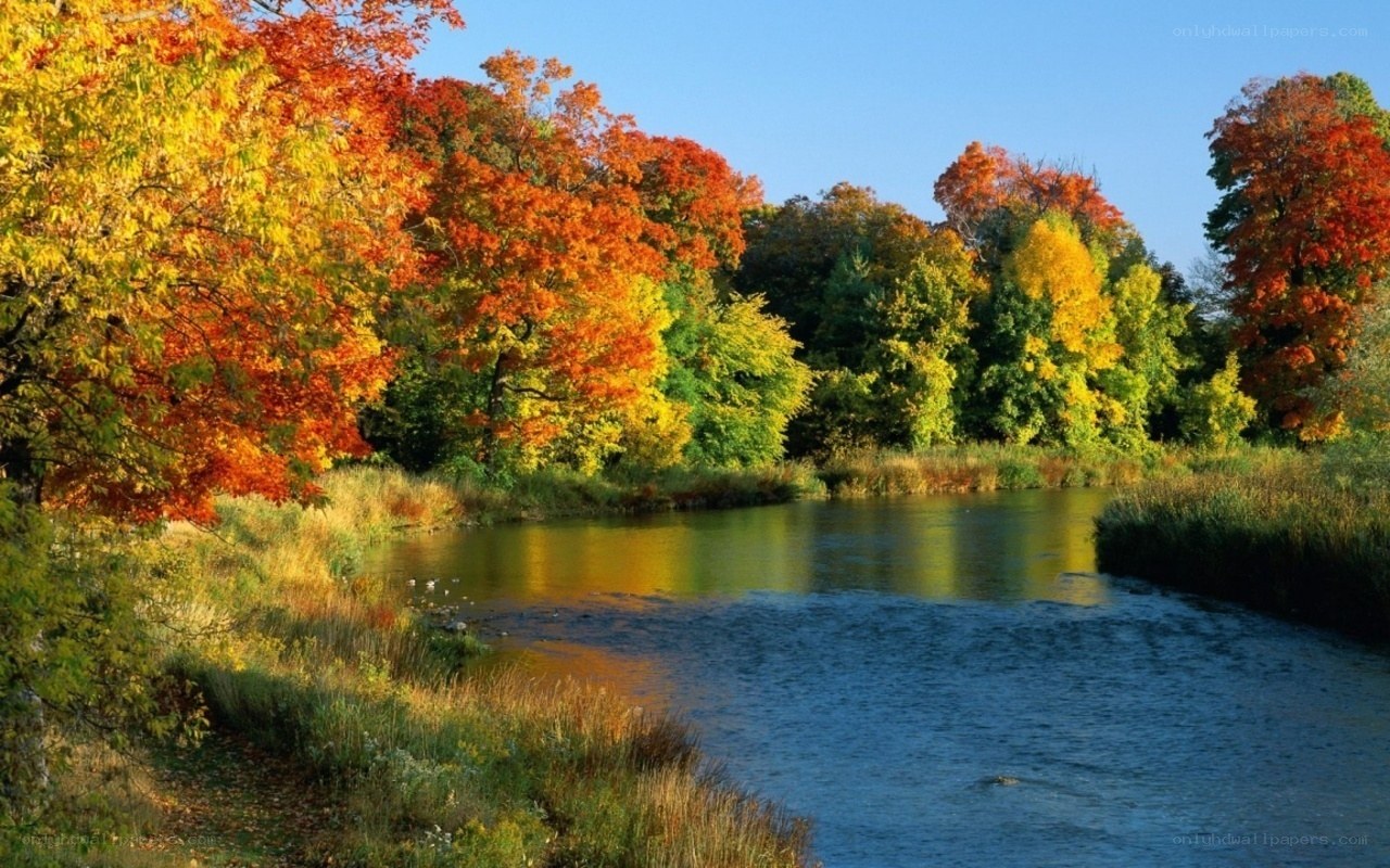 Autumn river landscape