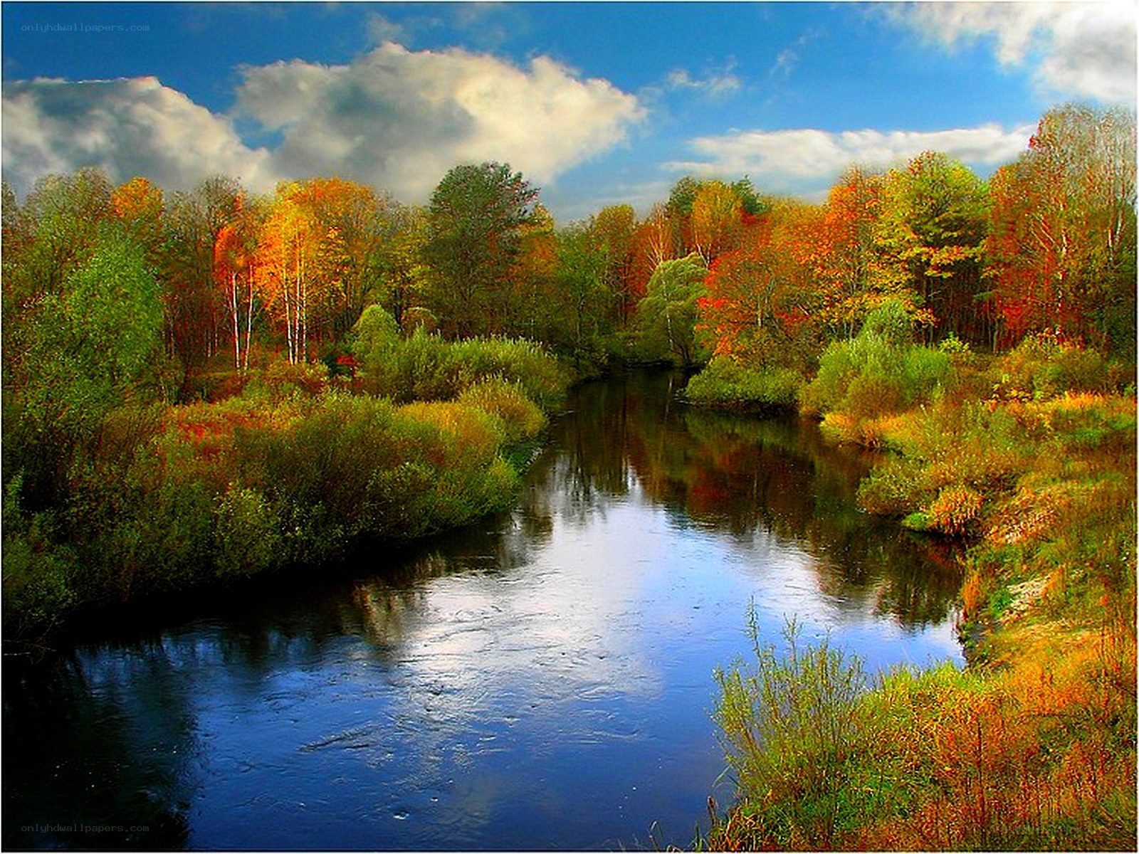 Autumn river landscape