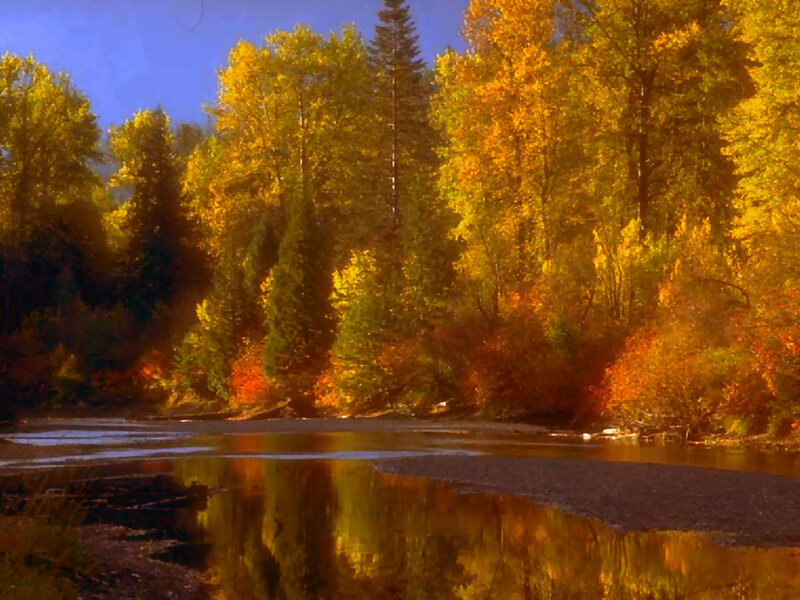 Autumn river landscape