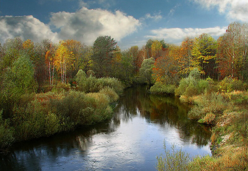 Autumn river landscape