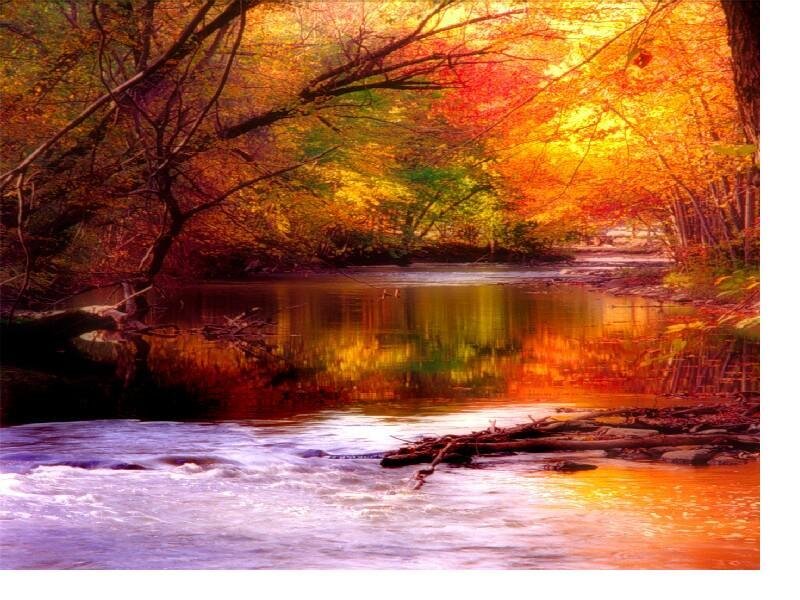 Autumn river landscape