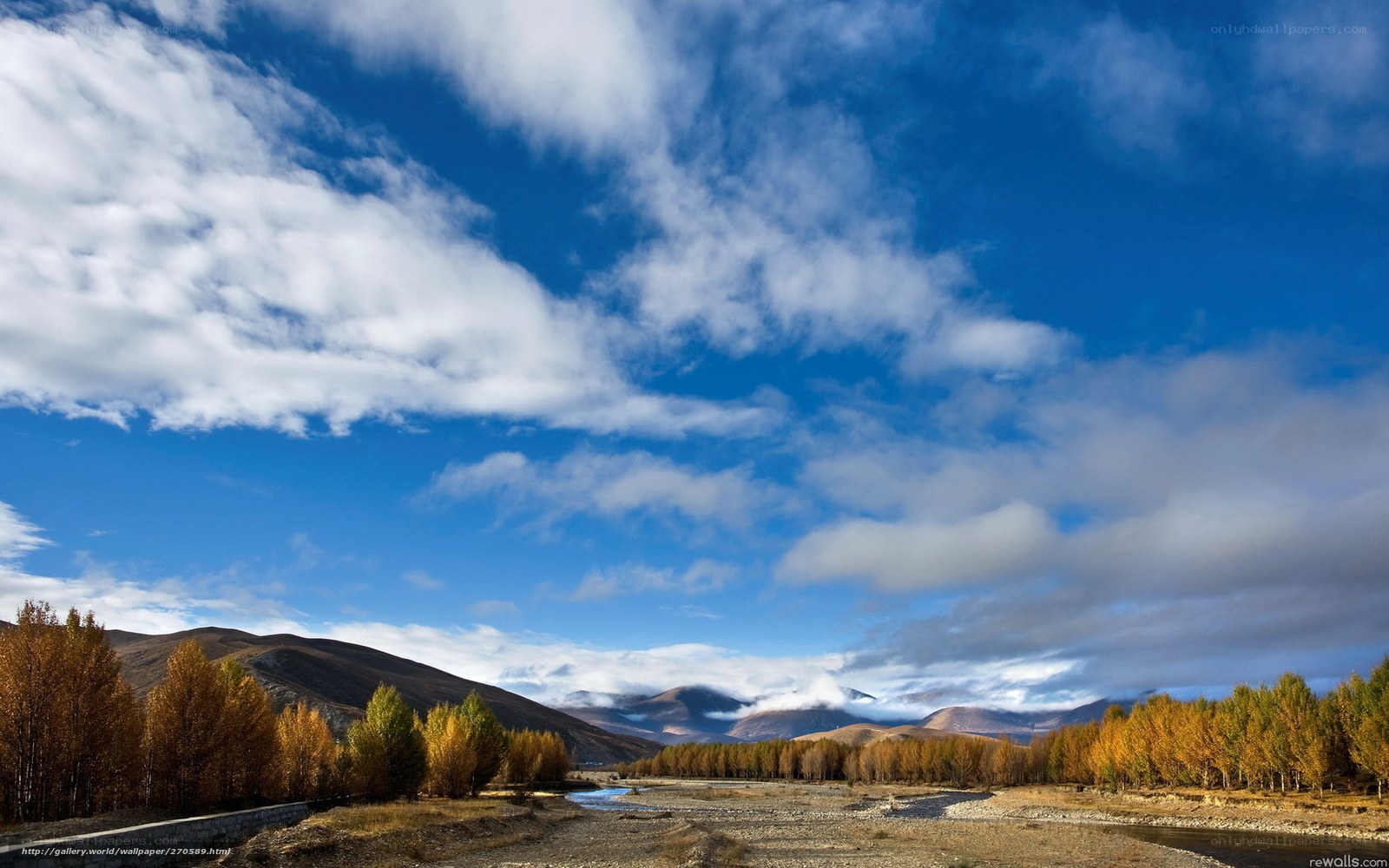 Autumn river landscape