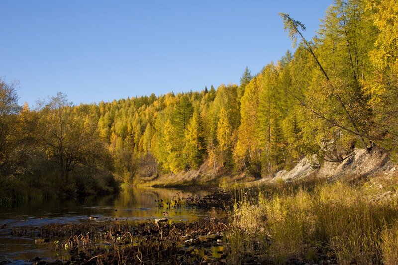 Autumn river landscape