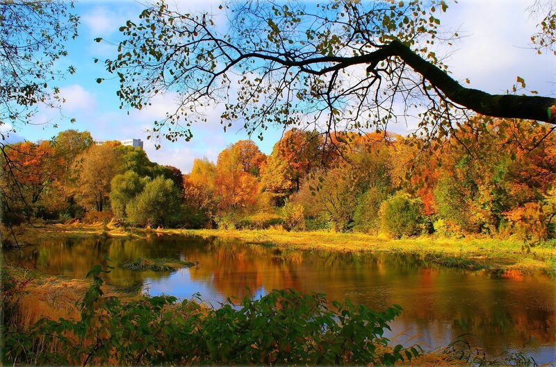 Autumn river landscape