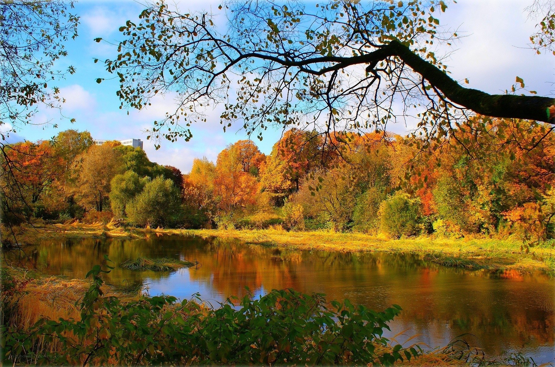 Autumn river landscape
