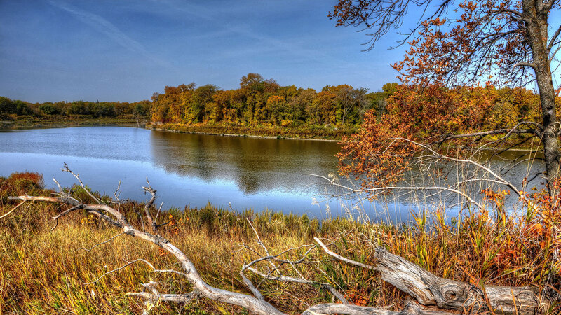 Autumn River Landscape — Blue, Serene, Photograph, Trees, Fallen Branches