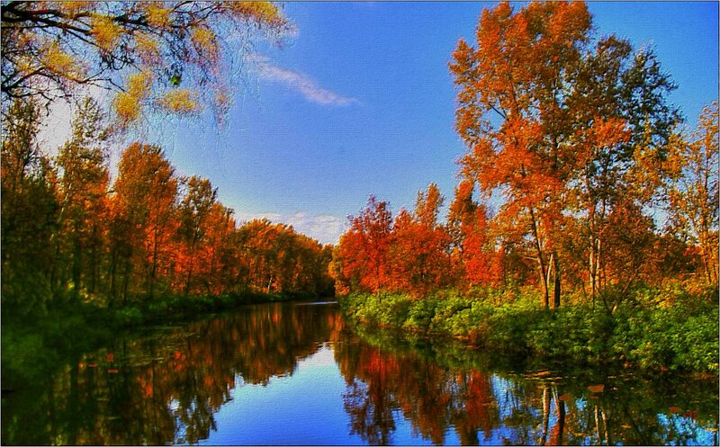 Autumn River Landscape — Blue, Serene, Photograph, Trees, Sky, Reflection