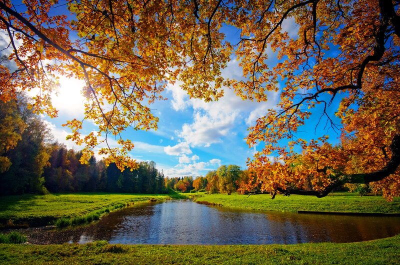 Autumn River Landscape — Blue, Serene, Photograph, Trees, Sky