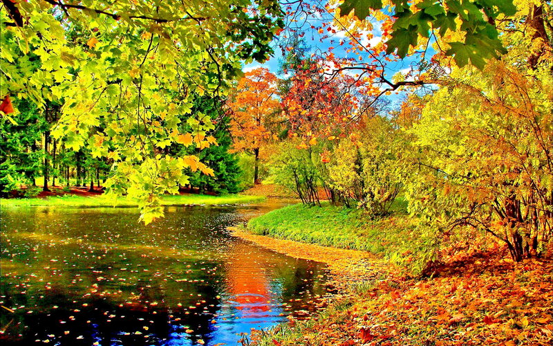 Autumn River Landscape — Green, Serene, Photograph