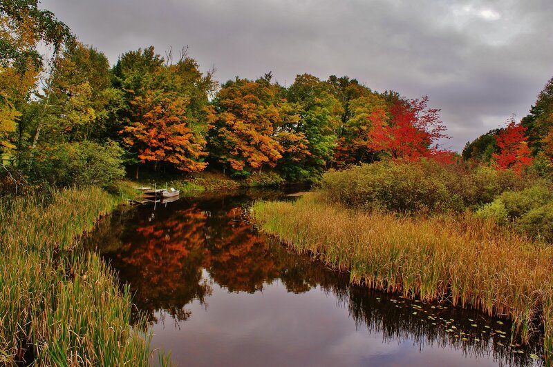 Autumn River Landscape — Green, Serene, Photograph, Trees