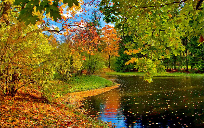 Autumn River Landscape — Green, Serene