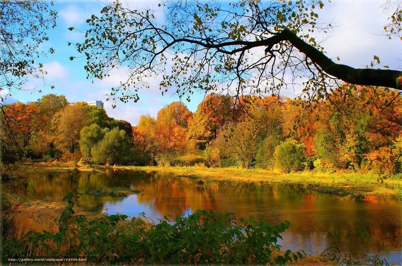 Autumn River Landscape — Orange, Serene, Photograph