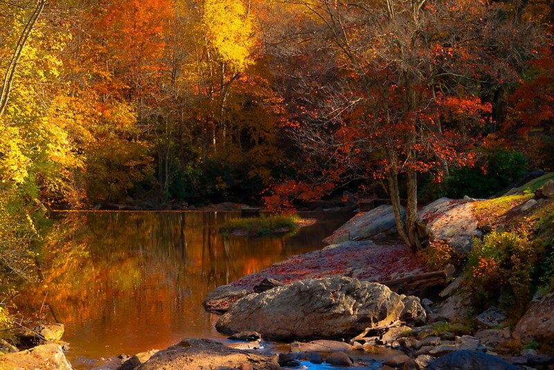Autumn River Landscape — Orange, Serene, Photograph, Trees, Rocks, Fallen Leaves