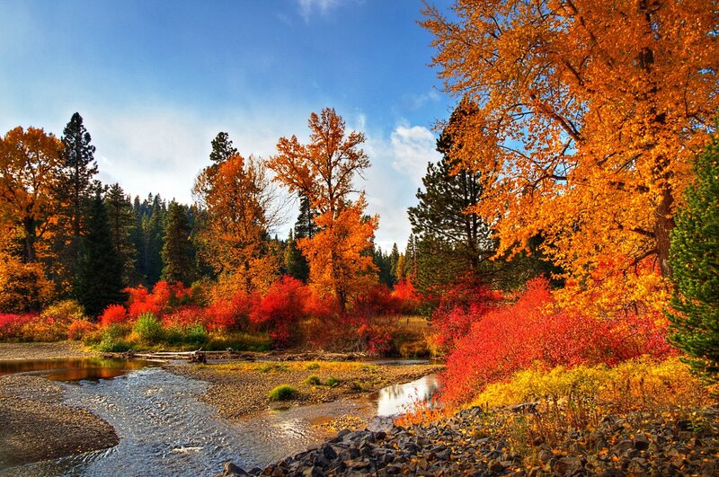 Autumn River Landscape — Orange, Serene, Photograph, Trees, Rocks
