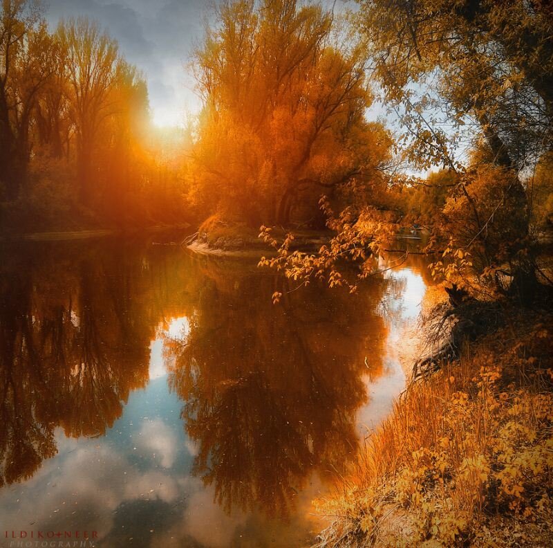 Autumn River Landscape — Orange, Serene, Photograph, Trees