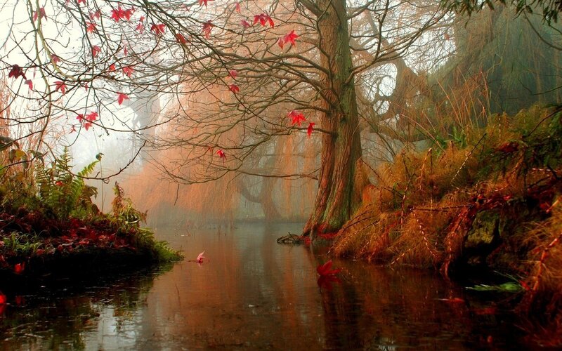 Autumn River Landscape — Red, Serene, Photograph