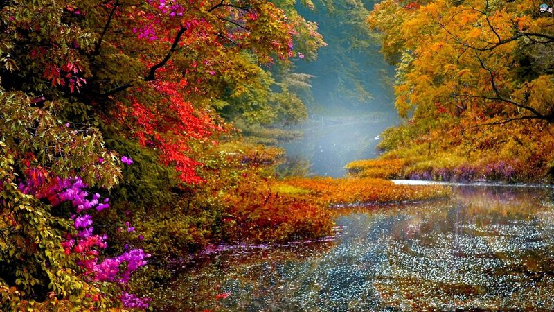 Autumn River Landscape — Red, Serene, Photograph, Trees, Mist