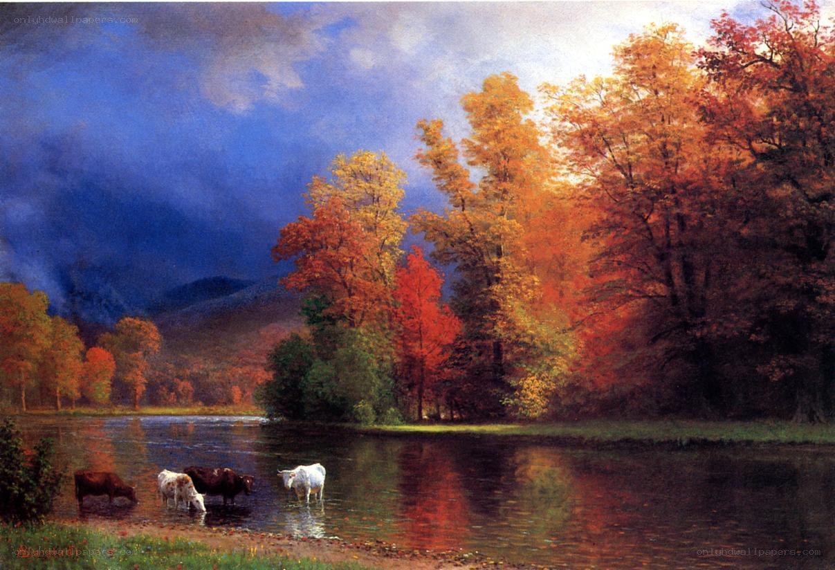 Autumn river landscape with cows