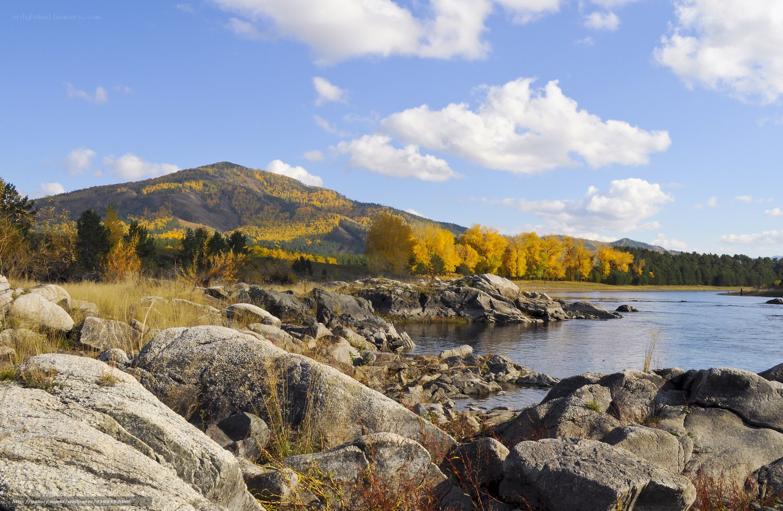 Autumn river landscape with mountains