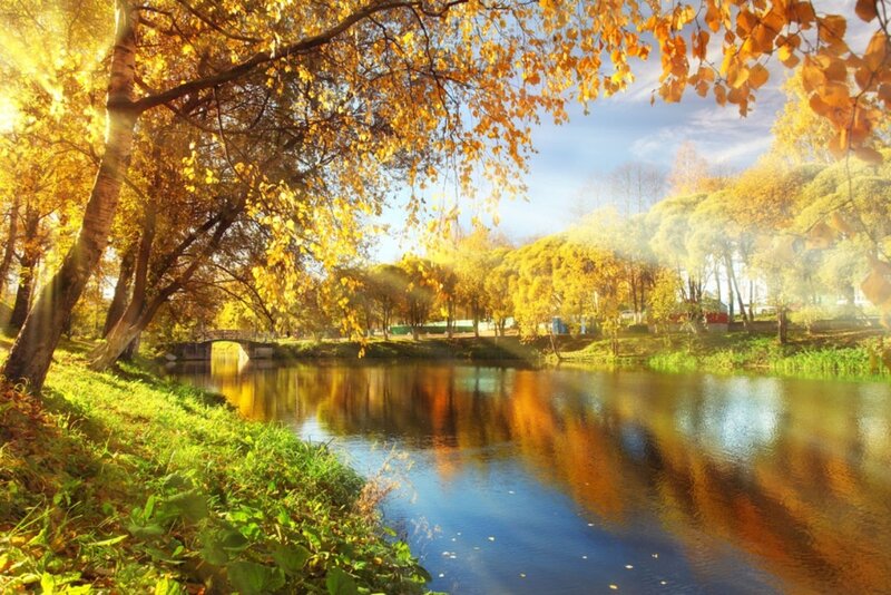 Autumn River Landscape — Yellow, Serene, Photograph