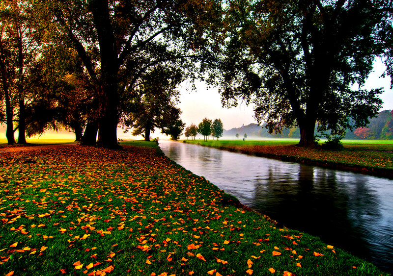 Autumn River Path