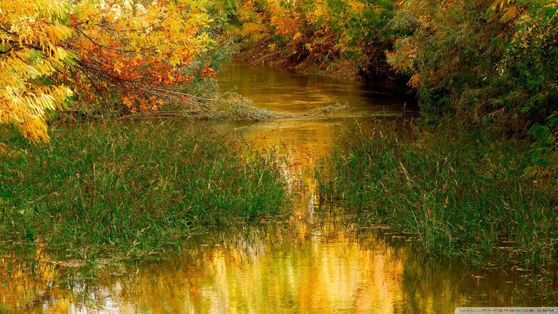 Autumn River Reflection