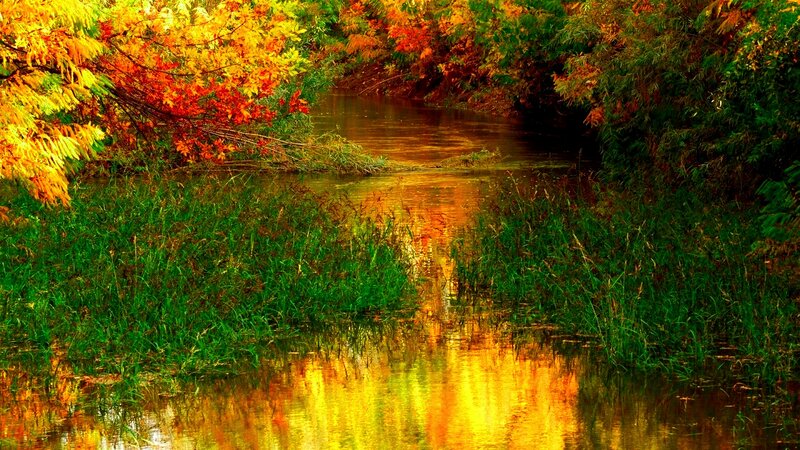 Autumn River Reflection — Yellow