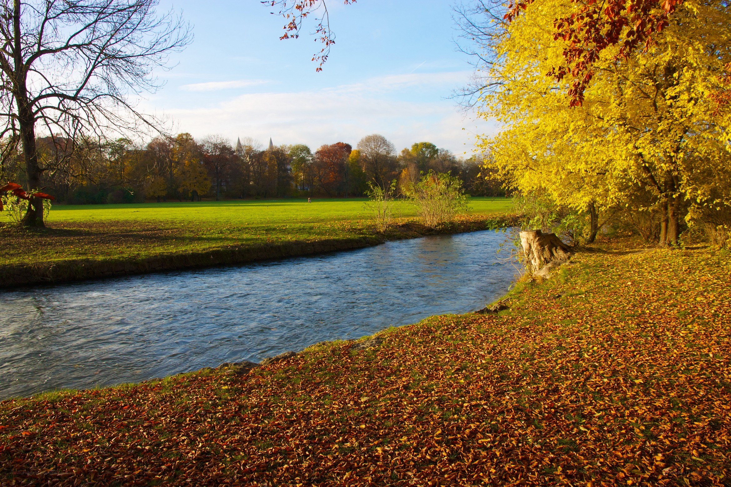 Autumn river scene