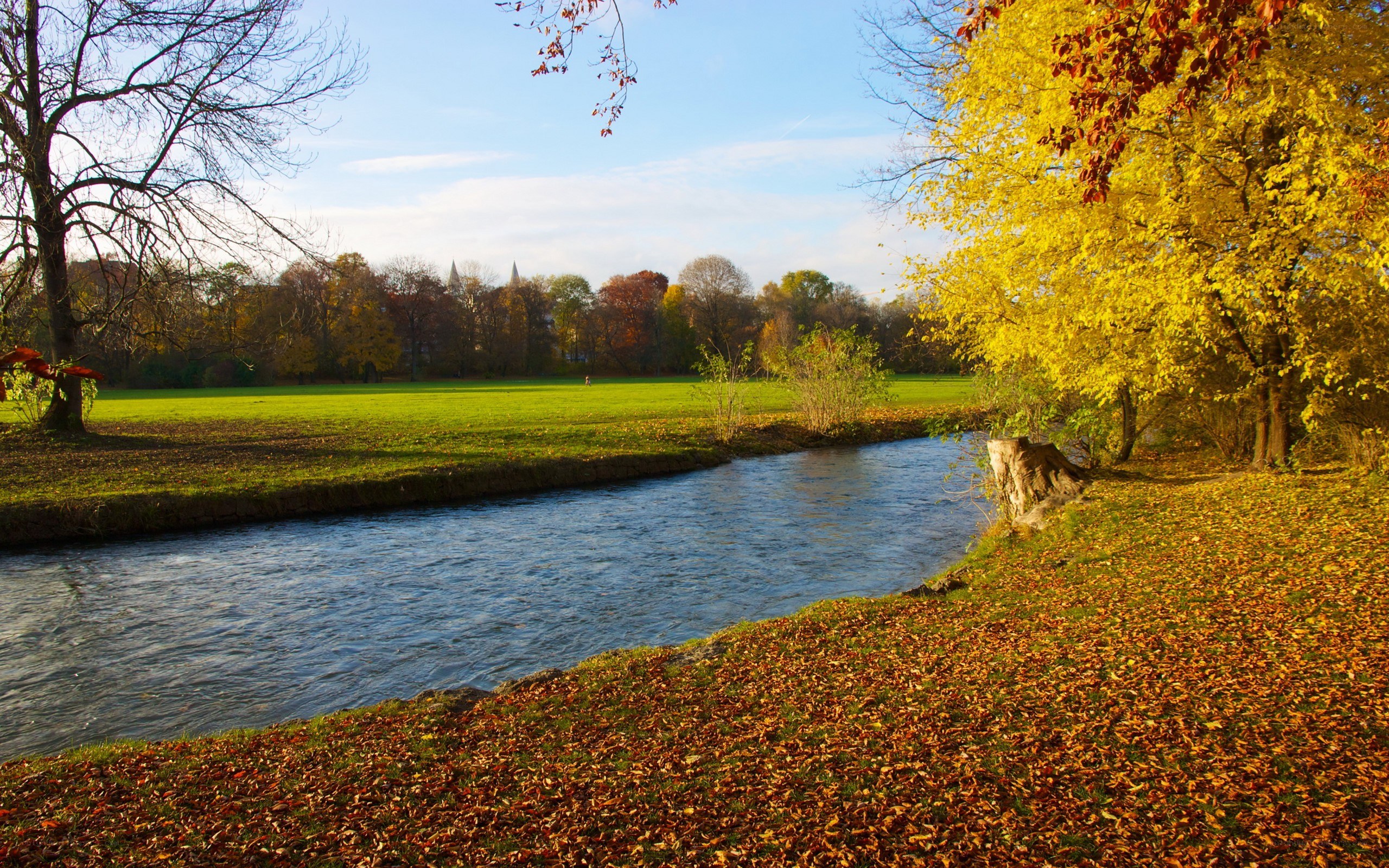 Autumn river scene
