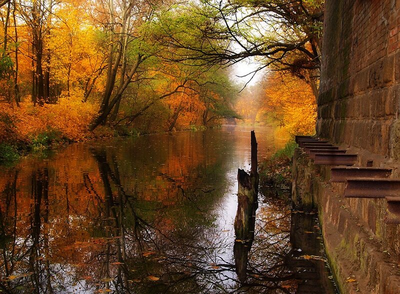 Autumn River Scene — Orange