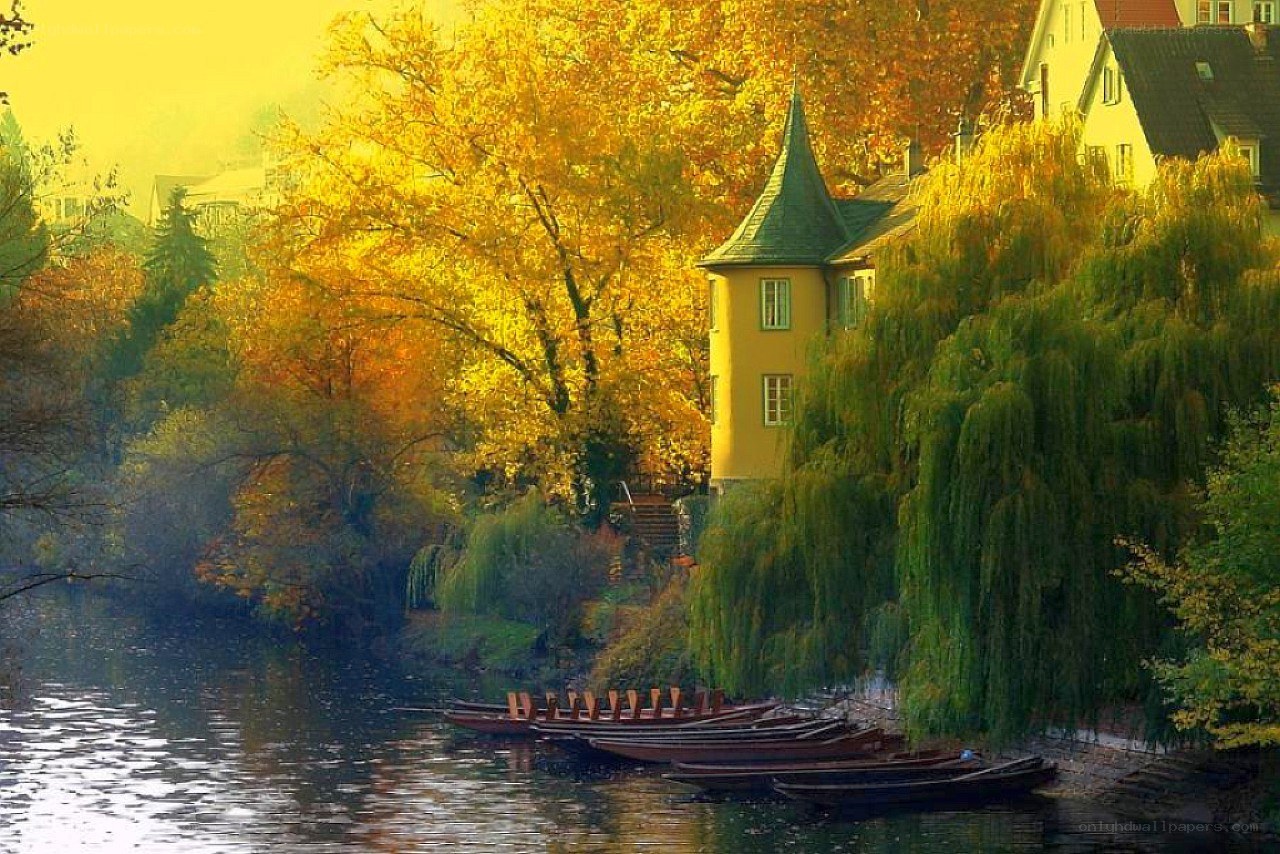 Autumn river scene with boats