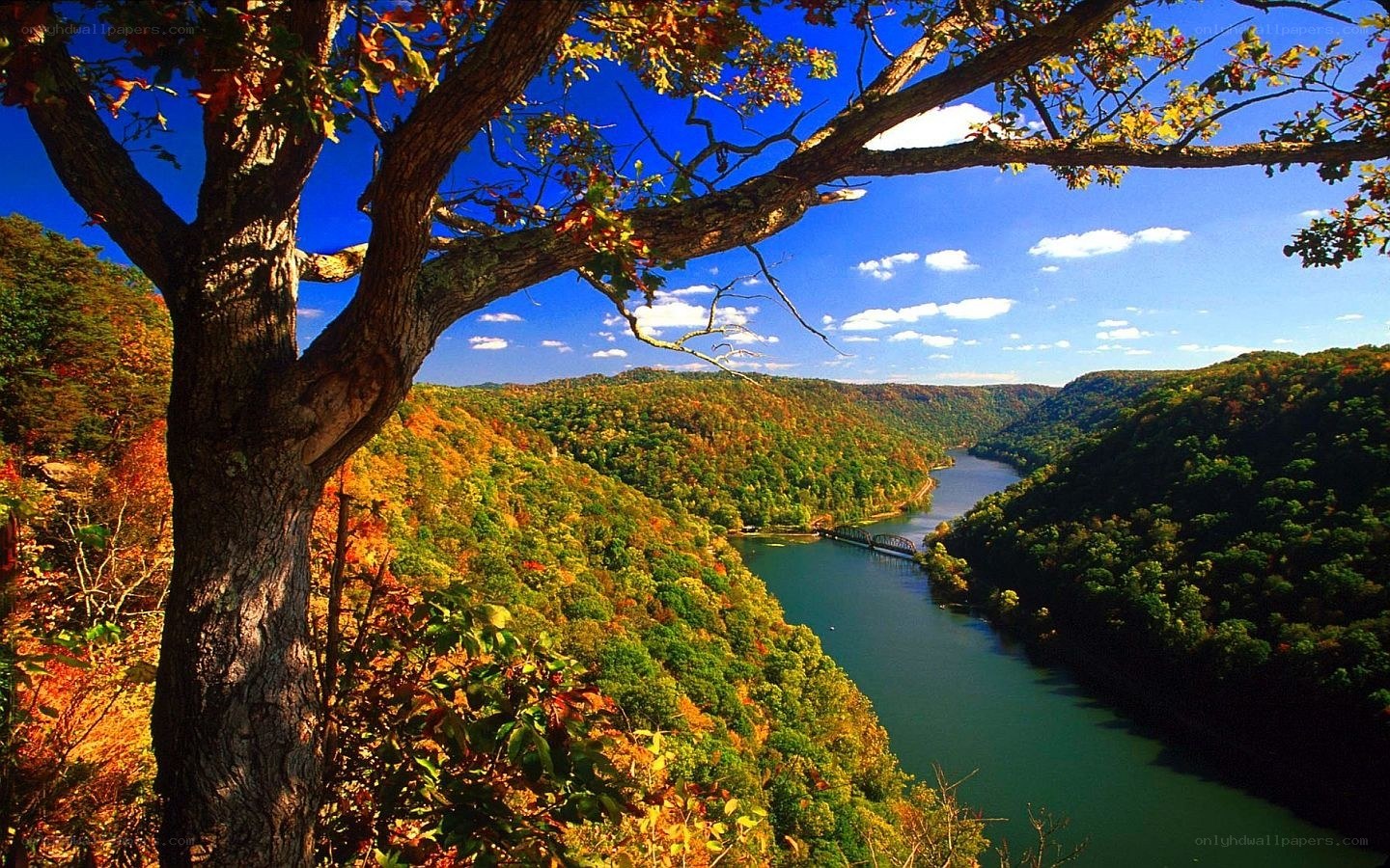 Autumn river valley landscape
