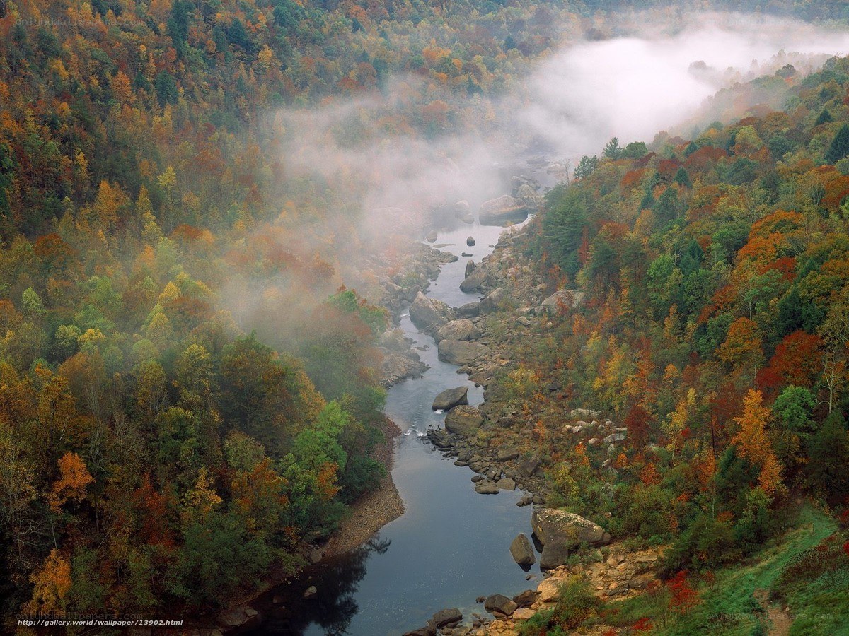 Autumn river valley mist