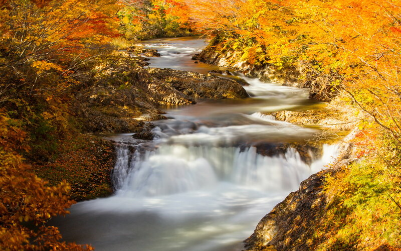 Autumn River Waterfall — Orange