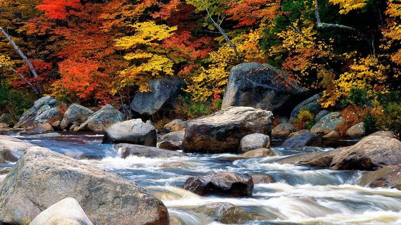 Autumn river with colorful foliage