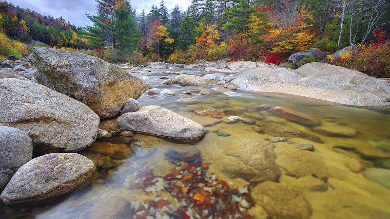 Autumn river with colorful foliage